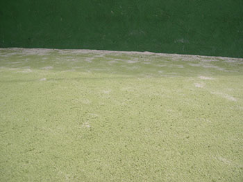 Mantenimiento de césped artificial padel y tenis